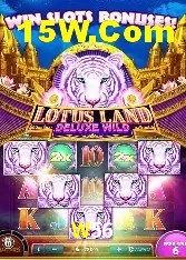 Programa VIP W56