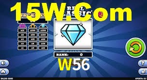 Premium Interface W56